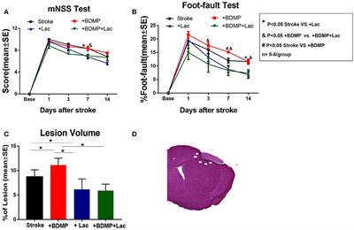 Brain-Derived Microparticles (BDMPs) Contribute to Neuroinflammation and Lactadherin Reduces BDMP Induced Neuroinflammation and Improves Outcome After Stroke